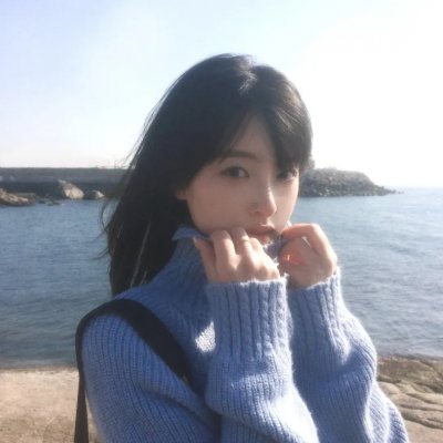 小狐狸维克封面