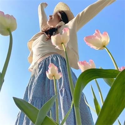 谍报飞龙封面